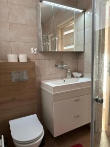a bathroom with a toilet and a sink and a mirror at domki-sopotnia in Sopotnia Wielka