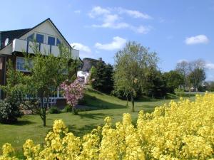 Zahrada ubytování Hotel-England