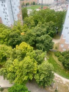 an overhead view of a bunch of trees in a city at la maison in Pantin