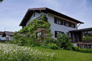 基姆湖畔布赖特布伦Strasser Margret的白色房子的一侧有植物