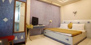 TV a/nebo společenská místnost v ubytování Hotel Tushar