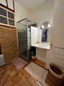 un baño con ducha y lavabo en Le Pink Lady Appartement centre historique de Bergerac, en Bergerac