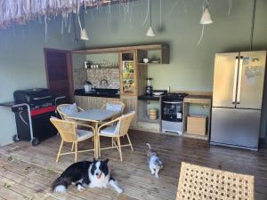 a kitchen with a dog and a table and a cat at Suíte Caju - Conforto e Exclusividade em Trancoso in Trancoso