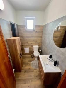 a bathroom with a sink and a toilet and a mirror at Garni Hotel Tatramonti in Poprad