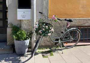 Jízda na kole v ubytování Crafoord Place Hostel nebo okolí
