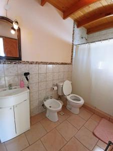 a bathroom with a toilet and a sink at El Puente dptos in Caviahue +21 photos