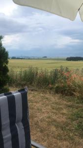 a chair with a view of a field of flowers at Schöne Wohnung mit Boddenblick in Sagard