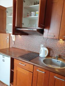 Kuchnia lub aneks kuchenny w obiekcie Apartament Konrad w centrum 600 m od morza