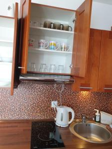 blat kuchenny ze zlewem i kuchenką mikrofalową w obiekcie Apartament Konrad w centrum 600 m od morza w Kołobrzegu