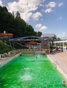 un groupe de personnes nageant dans une piscine avec de l'eau verte dans l'établissement Huitaca Glamping, à Paipa