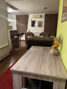 Billede fra billedgalleriet på Apartman Katic i Vrnjačka Banja