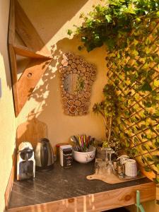 a counter with some plants on a wall at La bulle de sérénité in Six-Fours-les-Plages +38 photos