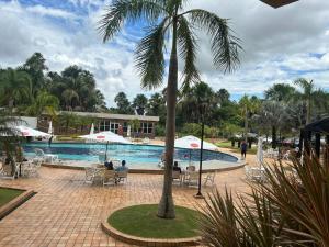 a pool with a palm tree and people sitting around it at Gran lençóis Flat 2 suítes vista piscina in Barreirinhas