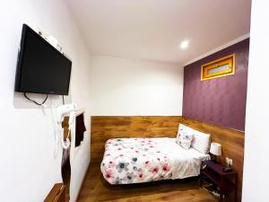 a bedroom with a bed and a flat screen tv at Hostal Abel Victoriano in Madrid