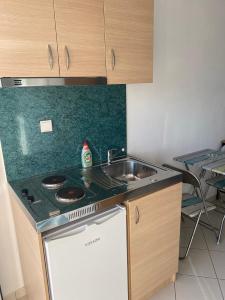 a kitchen with a sink and a stove at Pefki Apartment 6 in Artemísion