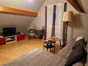 Televisi dan/atau pusat hiburan di Gîte Alsace en vue