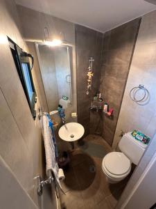 a small bathroom with a toilet and a sink at Marble Home in Egira