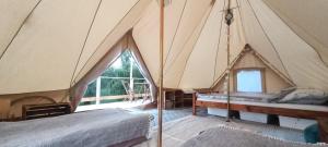 MiłkiMiła Łąka Glamping的帐篷配有两张床和大窗户