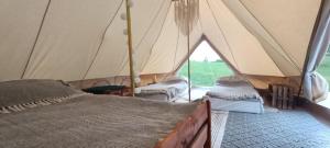 Miła Łąka Glamping客房内的一张或多张床位