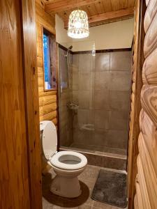 a bathroom with a toilet and a shower at La Venecia Cabañas in San Rafael