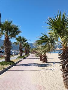 a road with palm trees on a beach at Villa Begonvil in Kuşadası
