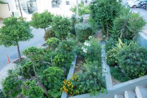 an overhead view of a garden with flowers and trees at Calliope Luxury Apartment in Sitia