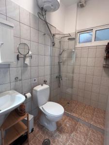 a bathroom with a toilet and a shower and a sink at Plateia Sea View Apartment in Samos