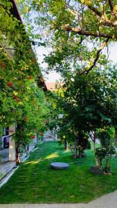 Fotografie z fotogalerie ubytování Casa Palaghia v destinaci 2 Mai