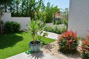 Galeriebild der Unterkunft Dia's in Sveti Filip i Jakov