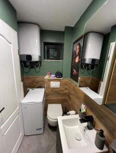 a bathroom with a toilet and a sink and a mirror at Domus Lapidea in Postira +17 photos