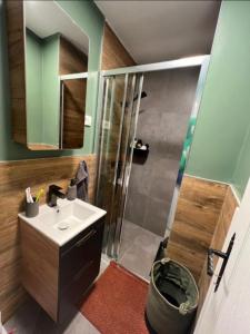 a bathroom with a shower and a sink and a toilet at Domus Lapidea in Postira