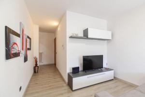 TV a/nebo společenská místnost v ubytování Vallategna Apartment Lake Como and Mountains