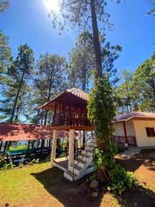 Gallery image of Cabañas y Mirador El Pericón in Arambala