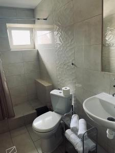 een badkamer met toilet en wastafel bij Apartament Leona in Ostrowo +10 foto's