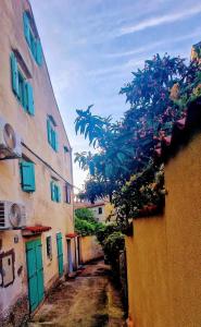 Gallery image of Lassini in Mali Lošinj