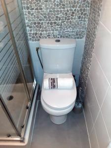 a bathroom with a white toilet in a shower at Romantic house Golfe Juan in Vallauris +10 photos
