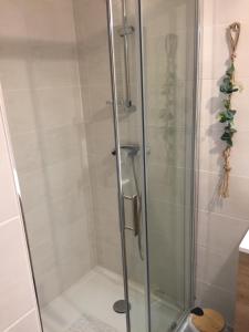 a shower with a glass door in a bathroom at LouEva in Mimizan