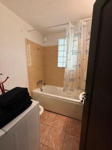 Koupelna v ubytování Holi Studio