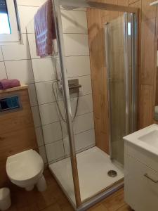 a bathroom with a shower with a toilet and a sink at Domek agroturystyczny in Zawada