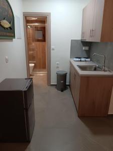 a kitchen with a sink and a counter top at Coralia's House in Nea Moudania