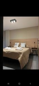 ein Schlafzimmer mit einem großen Bett mit zwei Kissen in der Unterkunft Alquiler Temporario en Nueva Córdoba! in Cordoba