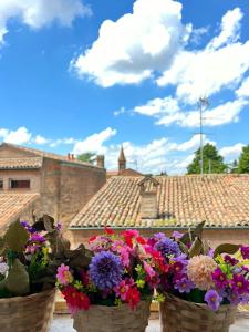 two baskets filled with flowers on top of a roof at AMA Esclusive SPA Amore in Ferrara