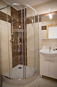 a bathroom with a shower and a sink at Vila Belianka in Ždiar +47 photos
