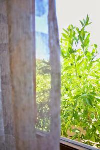 a window with a view of a green bush at Casa Magnolia - INCANTO MEDITERRANEO vicino al MARE in Pulsano +35 photos