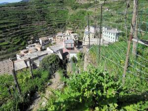 an aerial view of a small village on a hill at Sentieri Sul Mare in Manarola
