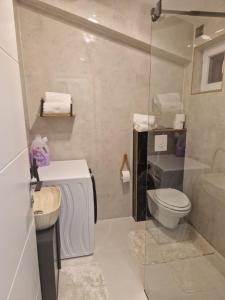 a bathroom with a toilet and a sink and a shower at Apartman SIX in Brela