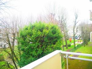 a green bush on the side of a balcony at Charmant Appartement au Pecq - Proche de Saint-Germain-en-Laye in Le Pecq