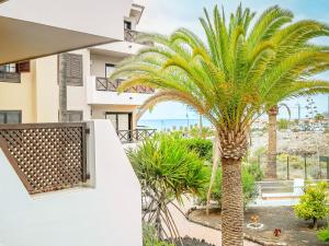 A garden outside Newly renovated, luxurious apartment with a heated pool, 259