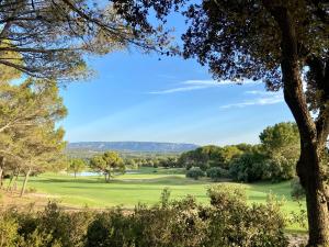 une vue d'un parcours de golf avec un arbre dans l'établissement Gîte Confortable Vue Exceptionnelle - Golf de Saumane, à Saumane-de-Vaucluse