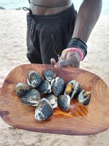 Gallery image of Ankel campement in Kachiouane